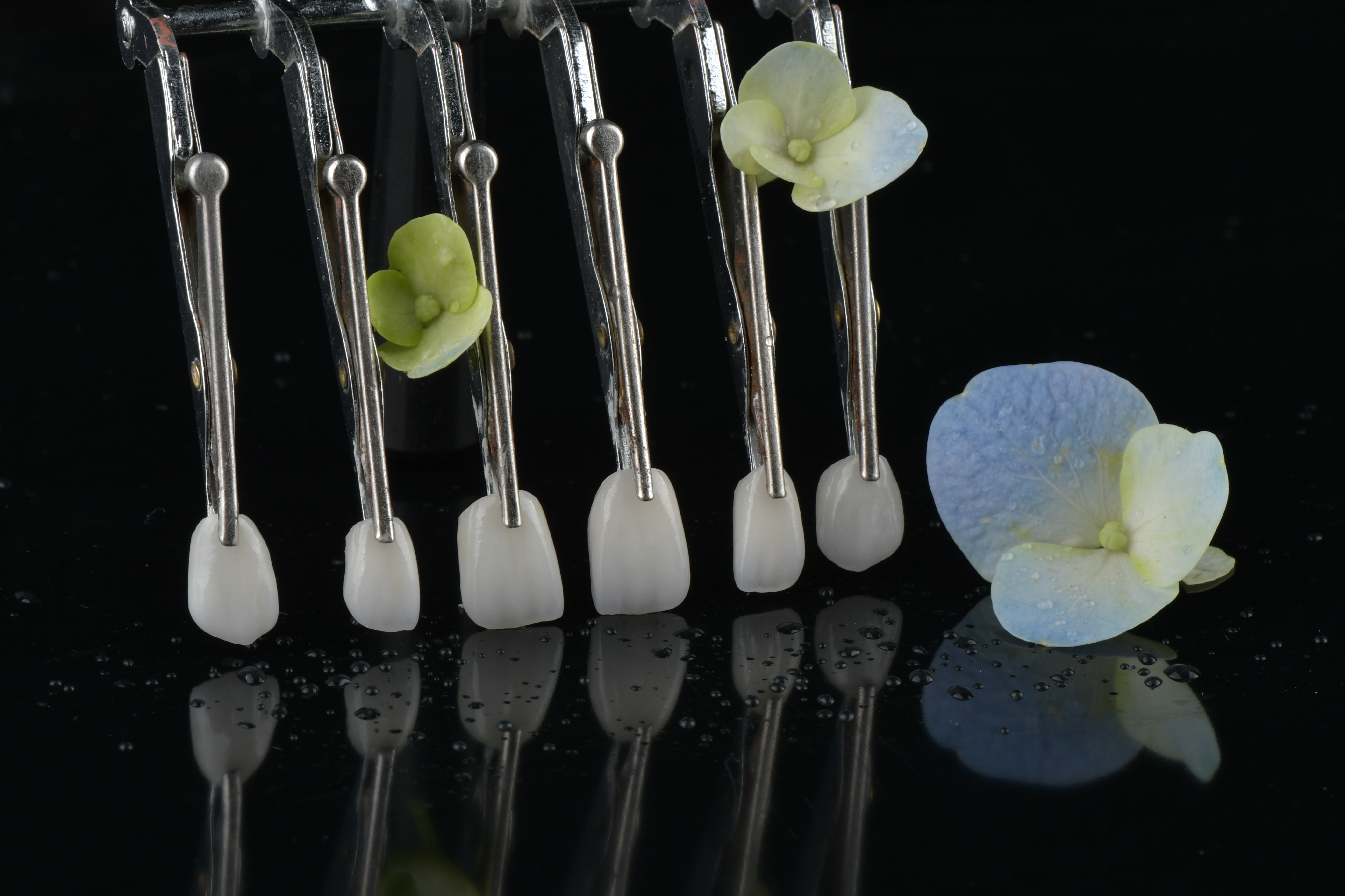 Son şirket blogları hakkında Sabit Restorasyonlar Takip Randevusu Gerektirir mi?